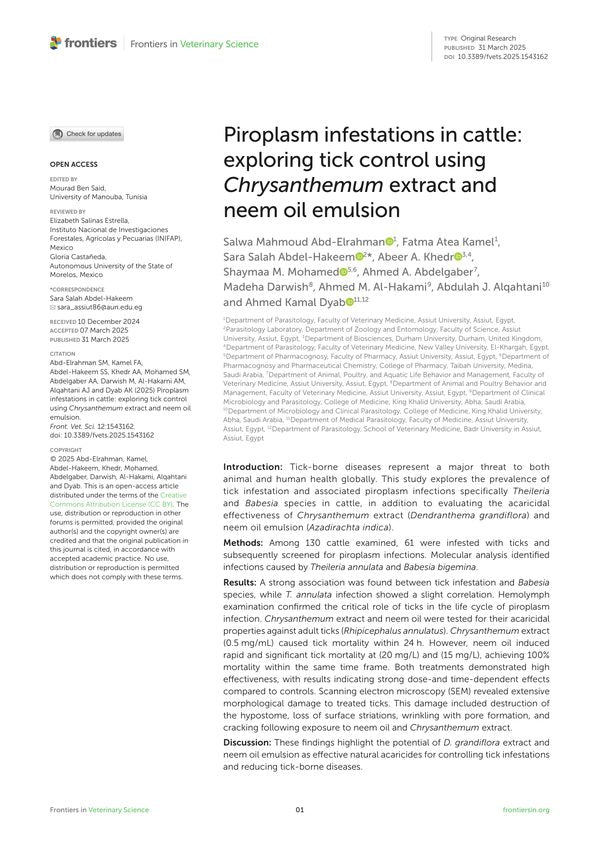 Piroplasm infestations in cattle: exploring tick control using Chrysanthemum extract and neem oil emulsion