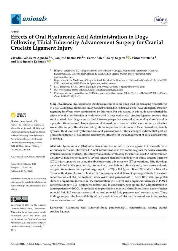 Effects of Oral Hyaluronic Acid Administration in Dogs Following Tibial Tuberosity Advancement Surgery for Cranial Cruciate Ligament Injury