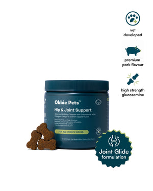 Hip & Joint Supplement for Dogs