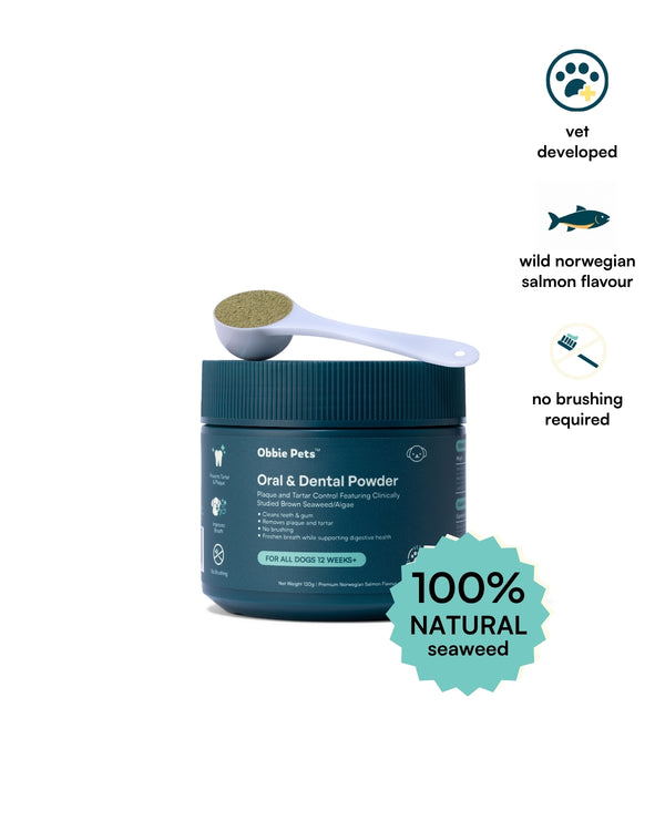 Dental Powder for Dogs