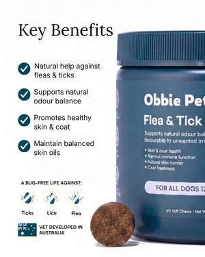 Flea & Tick Prevention for Dogs