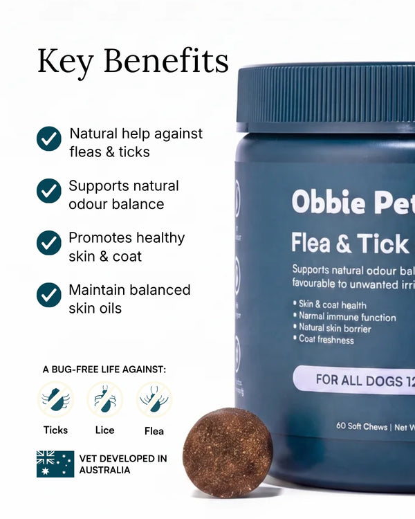 Flea & Tick Prevention for Dogs