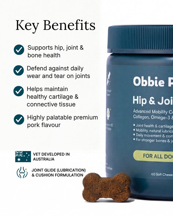 Hip & Joint Supplement for Dogs