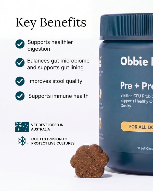 Probiotic Soft Chew For Dogs
