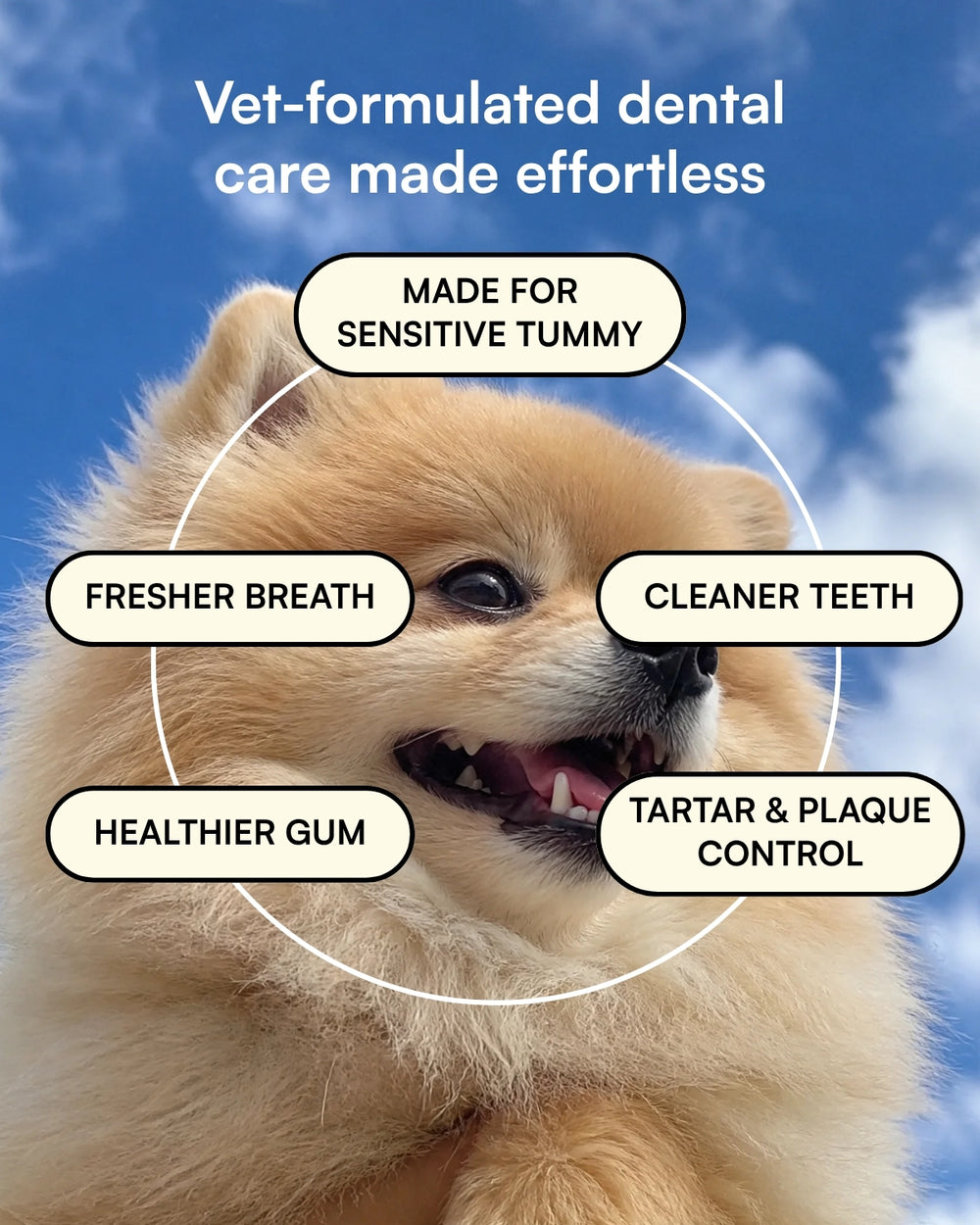 Dental Powder for Dogs
