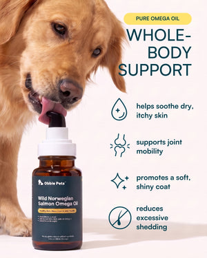 Wild Norwegian Salmon Omega Fish Oil for Dogs