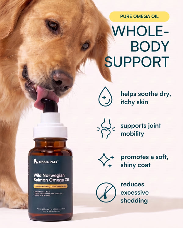Wild Norwegian Salmon Omega Fish Oil for Dogs