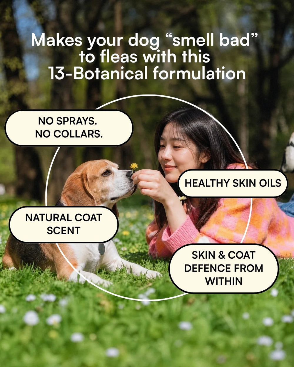 Flea & Tick Prevention for Dogs