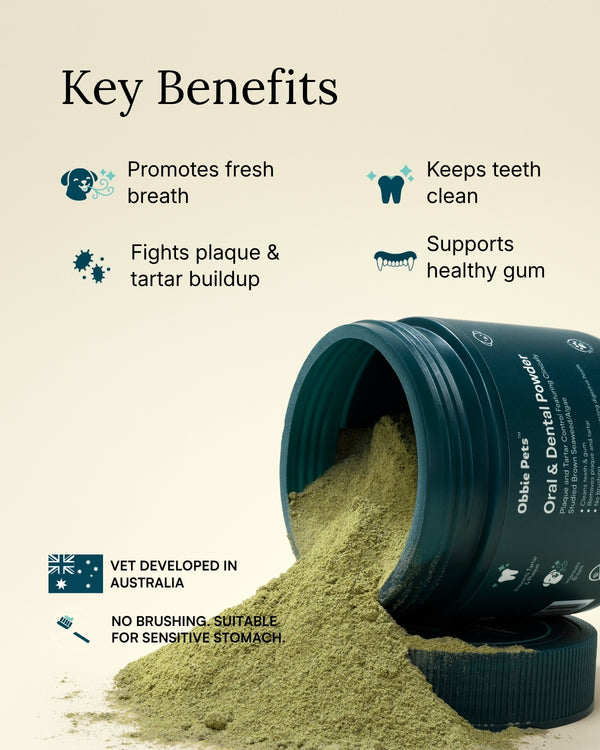 Dental Powder for Dogs