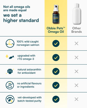 Wild Norwegian Salmon Omega Fish Oil for Dogs