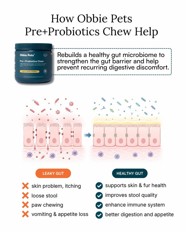 Probiotic Soft Chew For Dogs