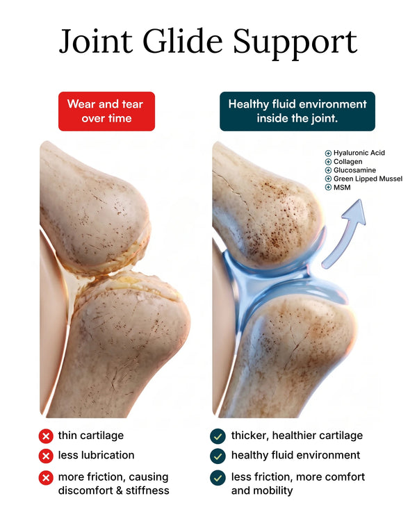 Hip & Joint Supplement for Dogs