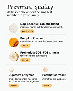 Probiotic Soft Chew For Dogs