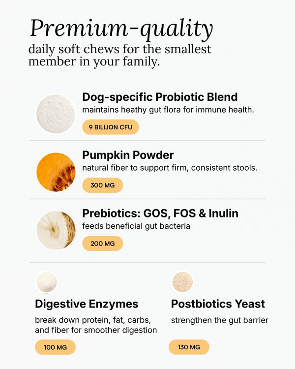 Probiotic Soft Chew For Dogs