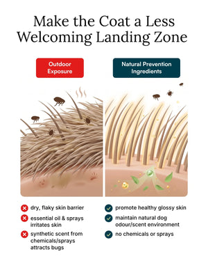Flea & Tick Prevention for Dogs