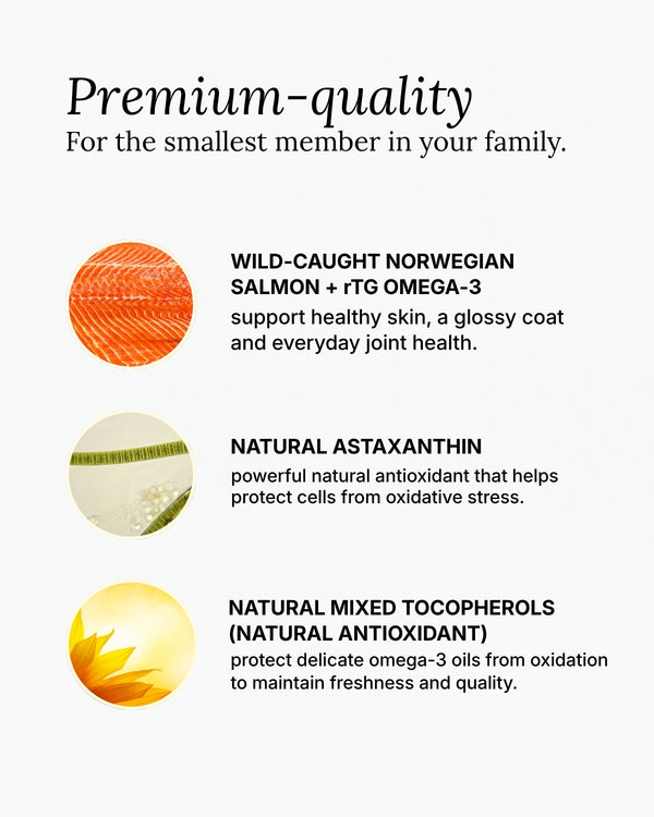Wild Norwegian Salmon Omega Fish Oil for Dogs