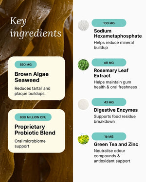 Dental Powder for Dogs