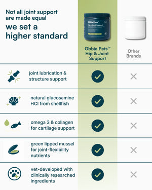 Hip & Joint Supplement for Dogs