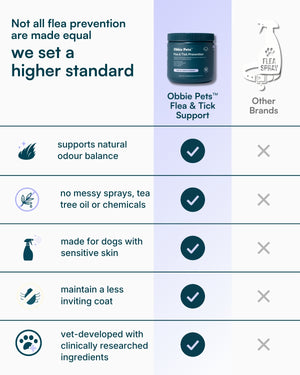 Flea & Tick Prevention for Dogs