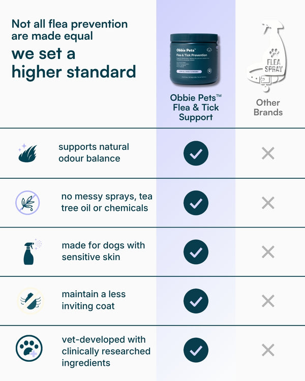 Flea & Tick Prevention for Dogs