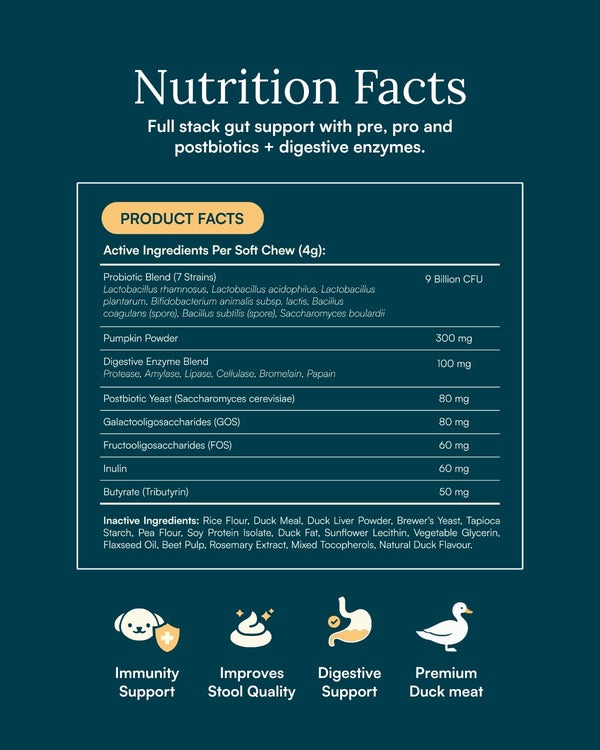 Probiotic Soft Chew For Dogs