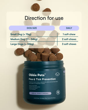 Flea & Tick Prevention for Dogs