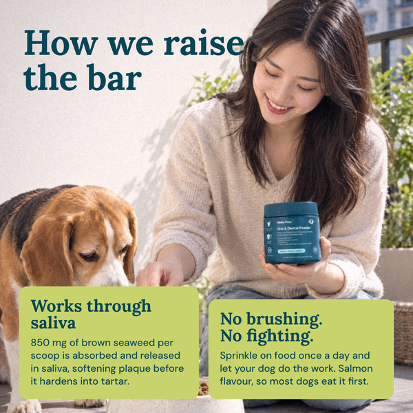 Obbie Pets Dental Powder - RaiseTheBar