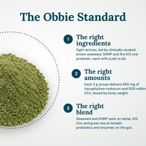 Obbie Pets Dental Powder - ObbieStandard