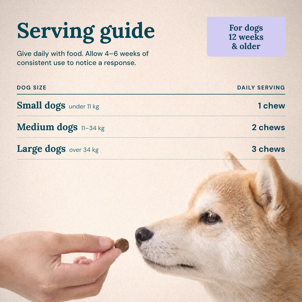 Obbie Pets Flea & Tick Prevention - ServingGuide