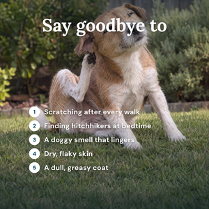 Obbie Pets Flea & Tick Prevention - SayGoodbye