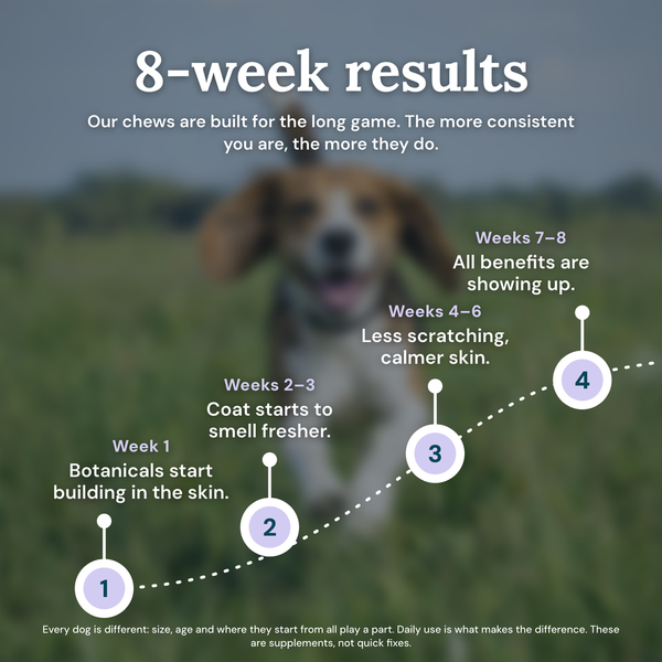 Obbie Pets Flea & Tick Prevention - 8WeekResults
