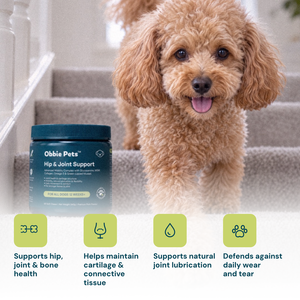 Obbie Pets Hip & Joint Supplement - Benefits