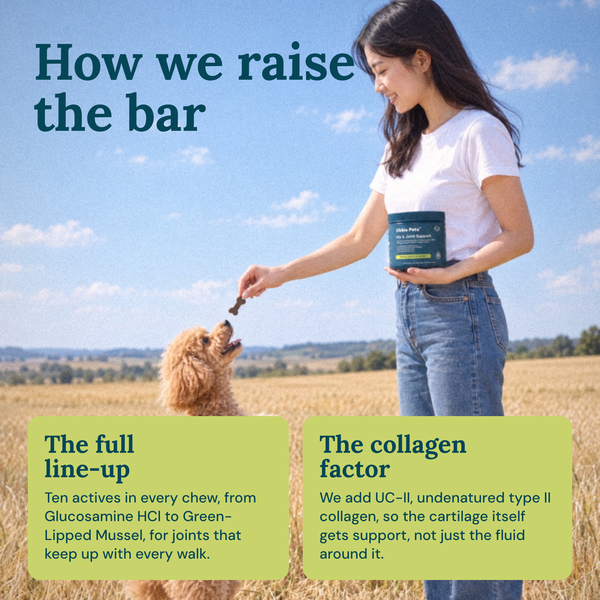 Obbie Pets Hip & Joint Supplement - RaiseTheBar