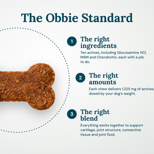 Obbie Pets Hip & Joint Supplement - ObbieStandard