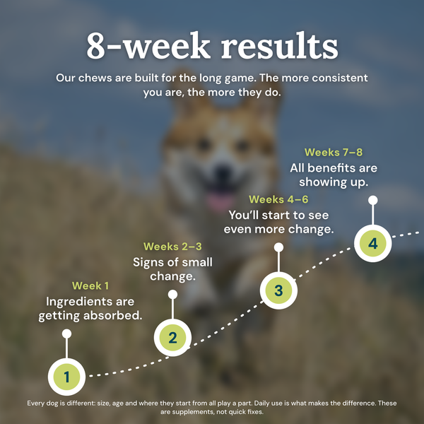Obbie Pets Hip & Joint Supplement - 8WeekResults