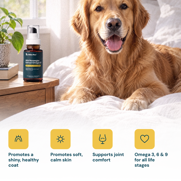 Obbie Pets Wild Norwegian Salmon Omega Oil - Benefits