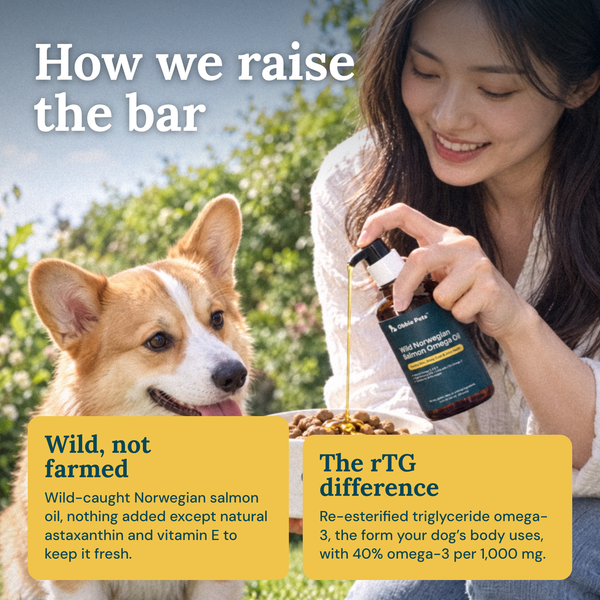 Obbie Pets Wild Norwegian Salmon Omega Oil - RaiseTheBar