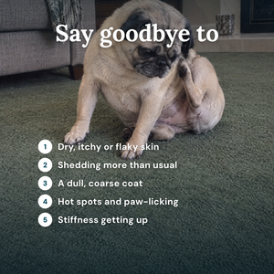 Obbie Pets Wild Norwegian Salmon Omega Oil - SayGoodbye