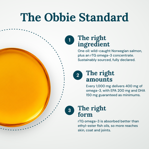 Obbie Pets Wild Norwegian Salmon Omega Oil - ObbieStandard