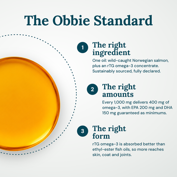 Obbie Pets Wild Norwegian Salmon Omega Oil - ObbieStandard