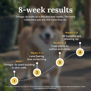 Obbie Pets Wild Norwegian Salmon Omega Oil - 8WeekResults