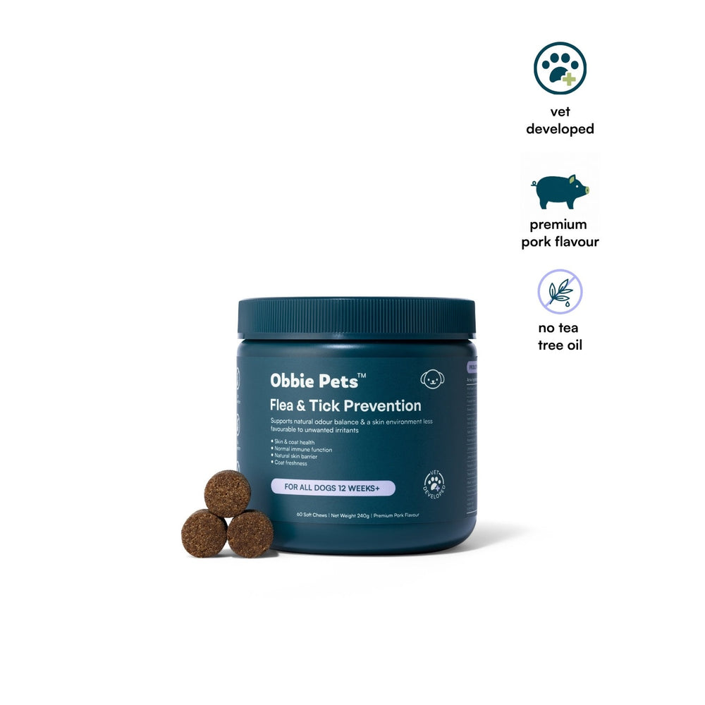 Flea & Tick Prevention for Dogs