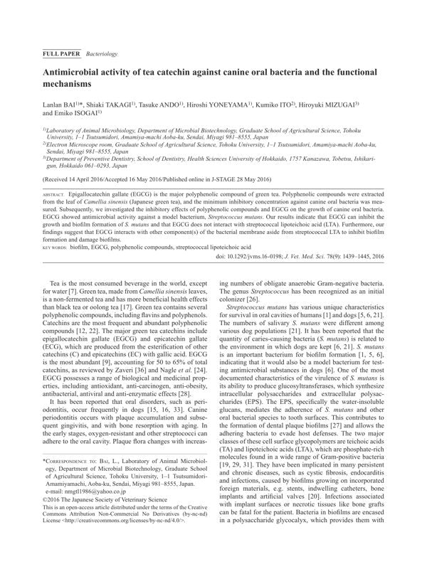 Antimicrobial activity of tea catechin against canine oral bacteria and the functional mechanisms