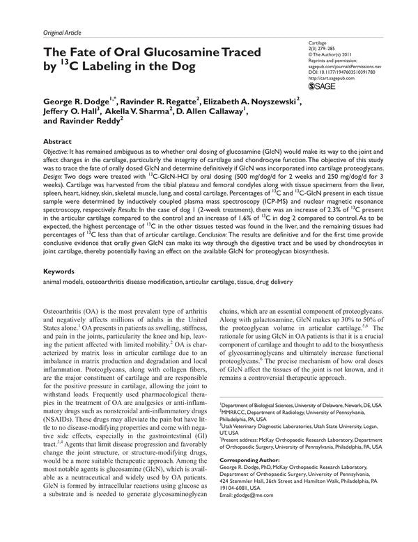 The Fate of Oral Glucosamine Traced by (13)C Labeling in the Dog