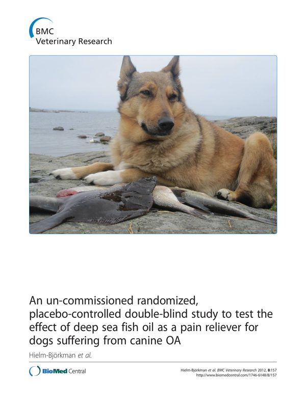 An un-commissioned randomized, placebo-controlled double-blind study to test the effect of deep sea fish oil as a pain reliever for dogs suffering from canine OA