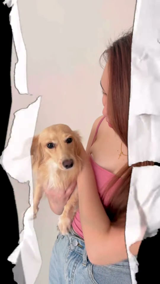 @http.ger Obbie Pets dental review