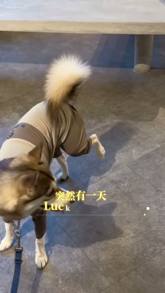 @luckyxiaokau Obbie Pets joint review