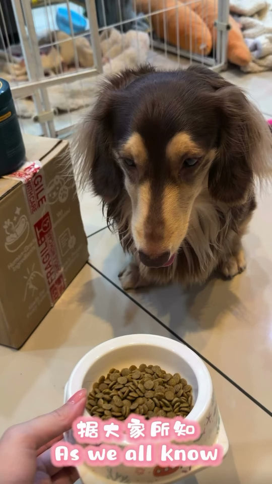 @ryukii.thelongboii Obbie Pets probiotics review