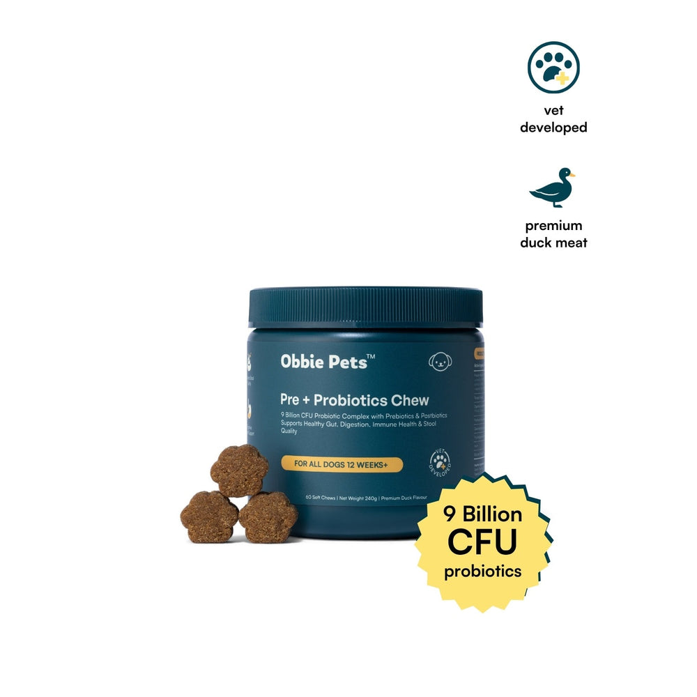 Probiotic Soft Chew For Dogs